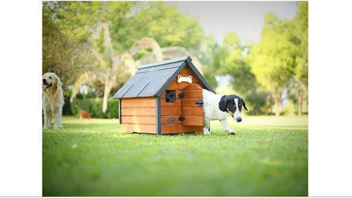 Köpek kulübesi nasıl seçilir?