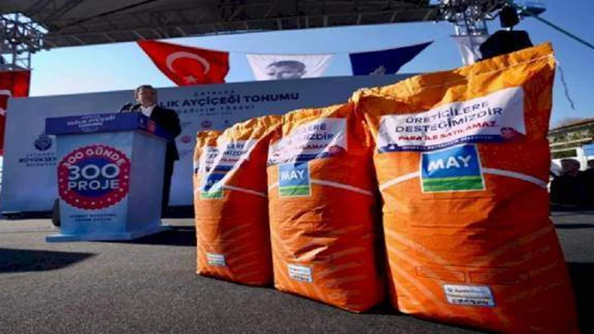 Üreticiye yağlık ayçiçeği tohumu