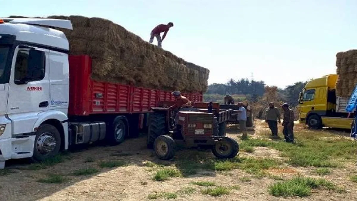 Kocaeli’den, Çanakkale’deki yangın mağduru çiftçilere destek