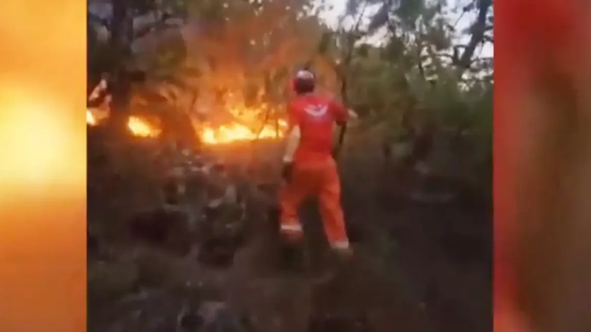 Eskişehir'deki orman yangınında 10 orman işçisi şehit oldu!