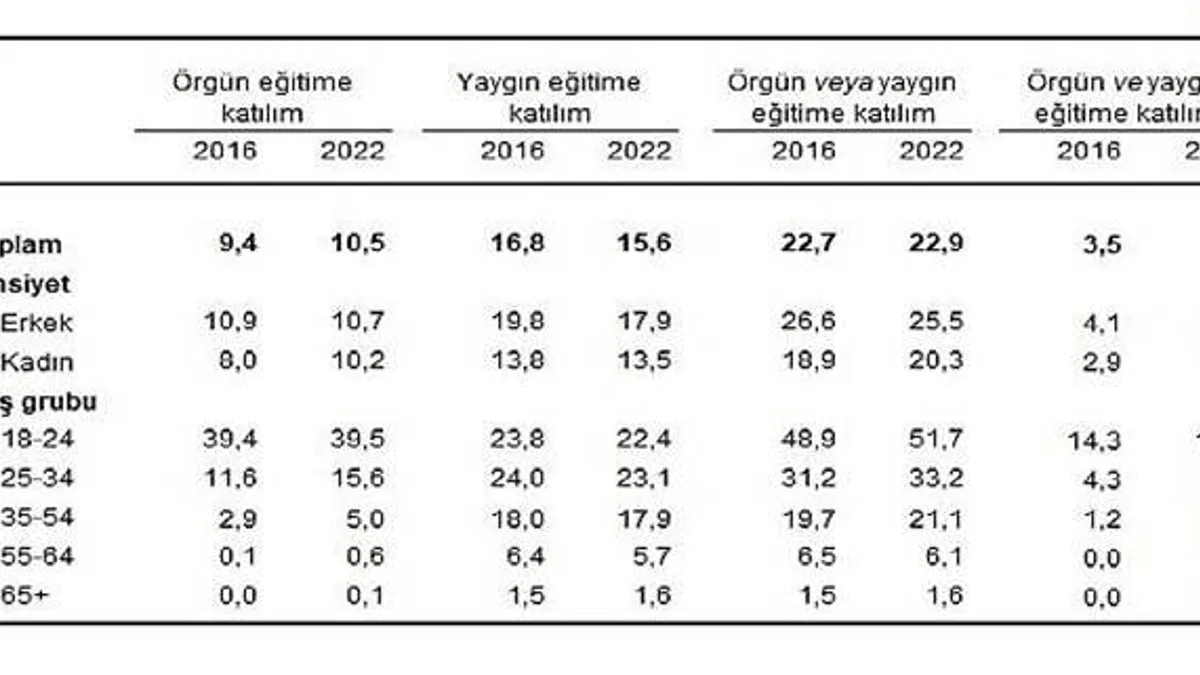Yetişkinlerin örgün veya yaygın eğitime katılım oranı yüzde 22,9 oldu