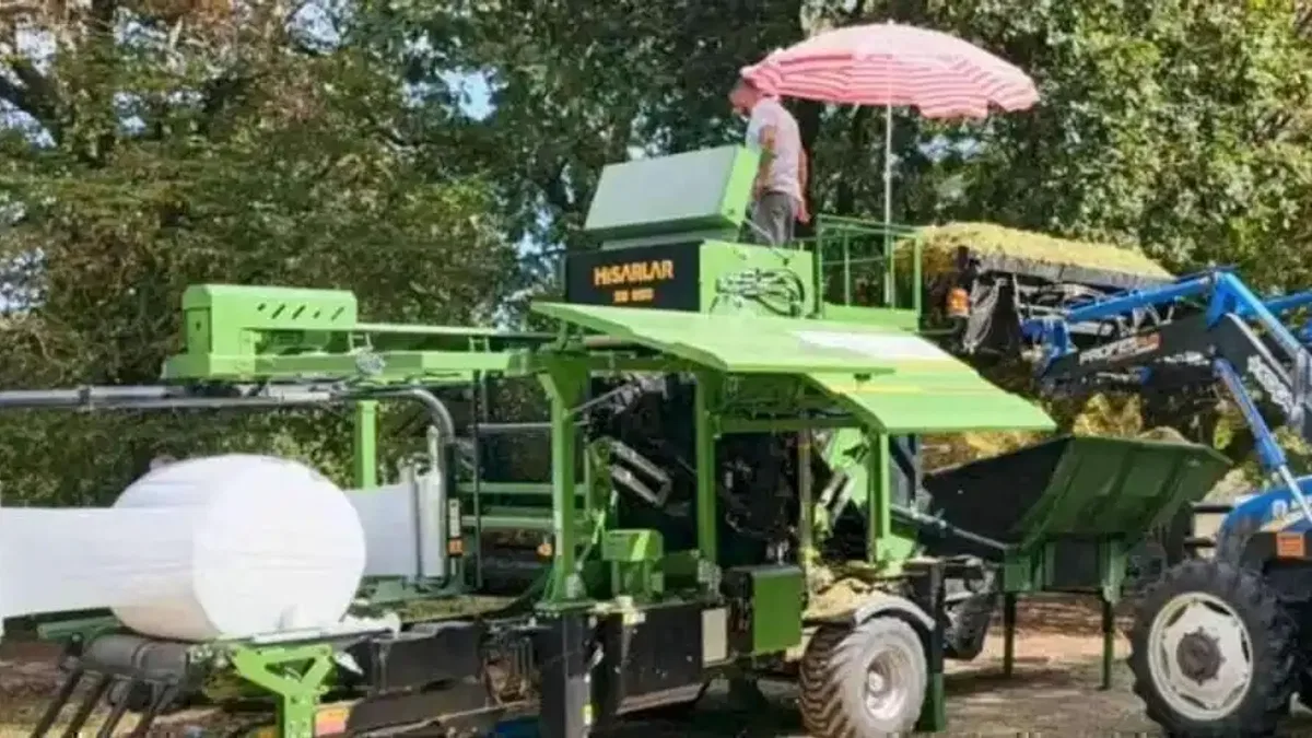 Kocaeli’de silajda verim kaybı sıfırlandı