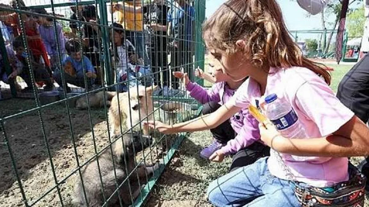 Hayvanları Koruma Gününe Renkli Kutlama