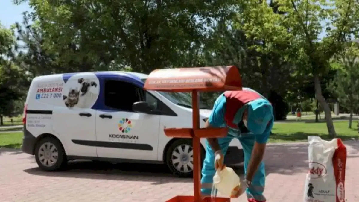 Kocasinan’dan sıcak havada sokak hayvanlarına su ve mama takviyesi