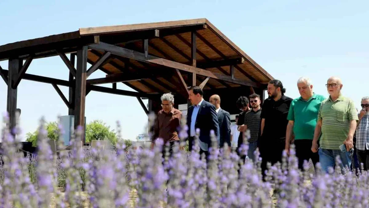 Konya Karatay Lavanta Bahçeleri'nde görsel şölen heyecanı