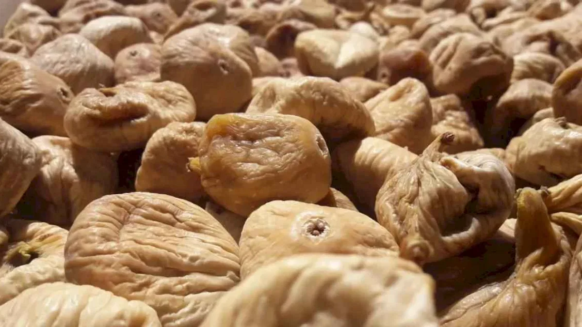 Kuru incirin gıda güvenliği için 19 bin kerevet dağıtıldı