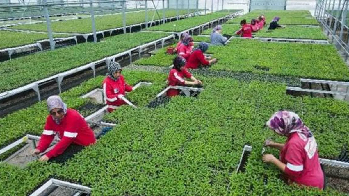 Ankaralı yerli üretici zengin olacak