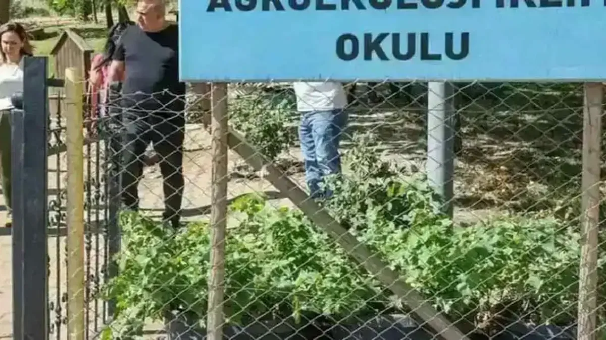 Diyarbakır'da Tıbbi Aromatik Bitki Üretim ve İşleme Tesisi