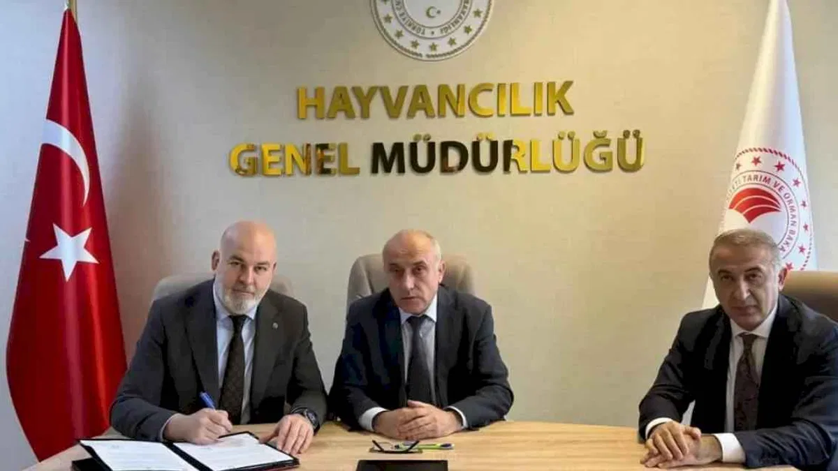 Besilik hayvan krizine neşter! İki kritik protokolle yerli üretim güçlenecek