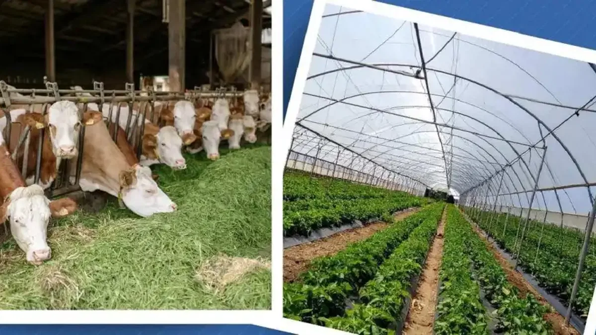 Kırsal Kalkınma Yatırım Programı başvuruları 3 Temmuz’a uzatıldı