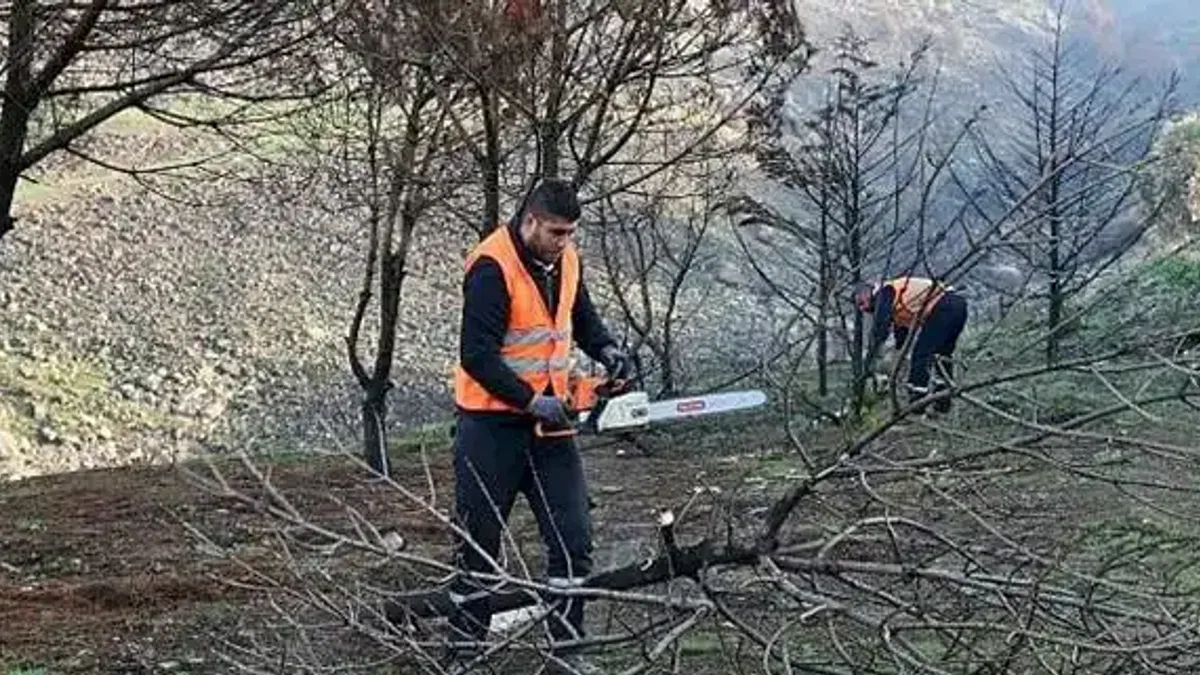Çiğli Belediyesi Orman Yangınının İzlerini Silmek İçin Seferber Oldu