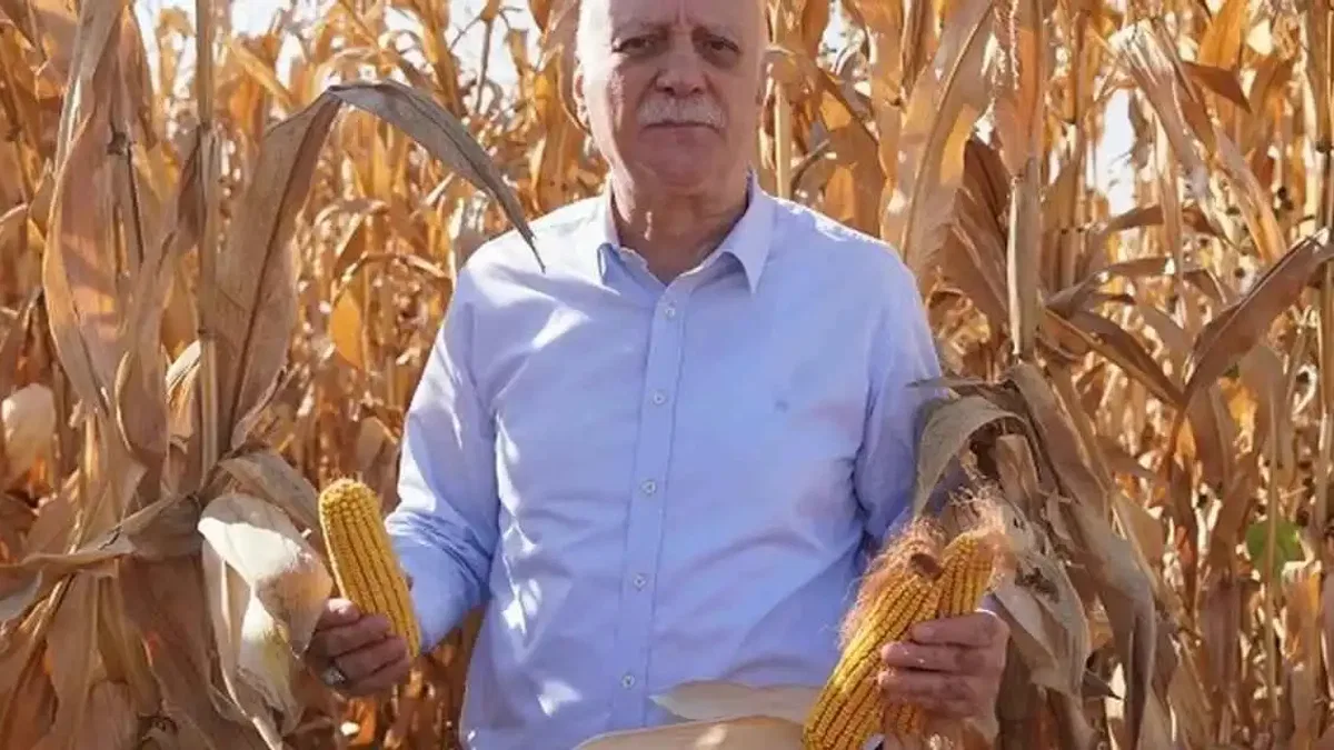 TZOB: Mısır üretimi arttırılmalı