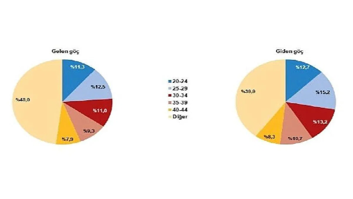 TÜİK: Yurt dışından Türkiye'ye 340 bin 845 kişi göç etti