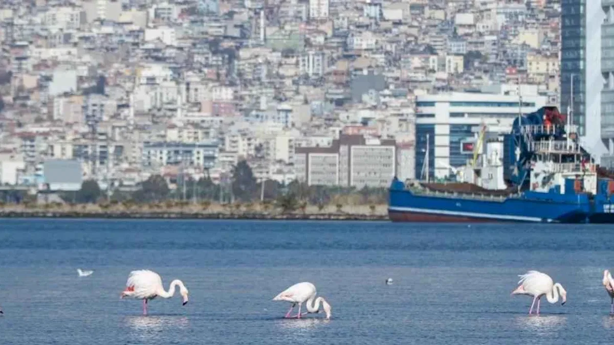 İzmir’in iklim krizi ile mücadelesi güçleniyor