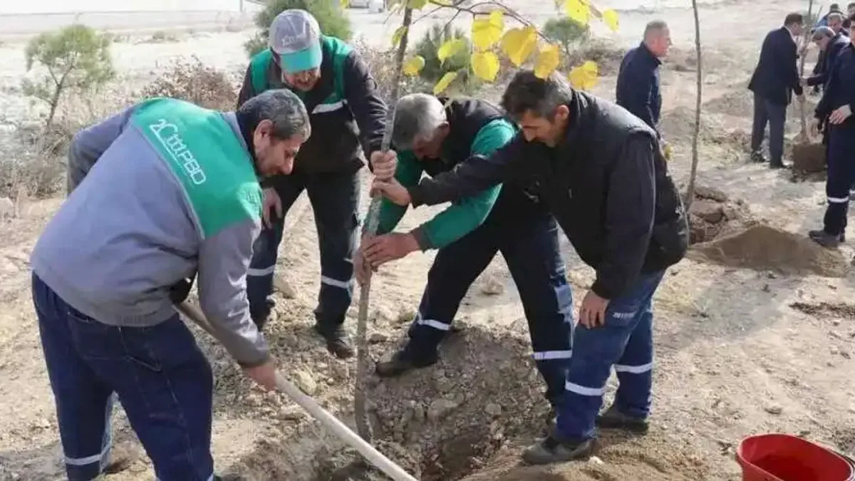 Bursa KAYAPA OSB’ye 1000 adet fidan dikimi