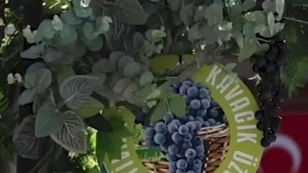 Karabağlar Kavacık'taki üzümle 13'üncü buluşma