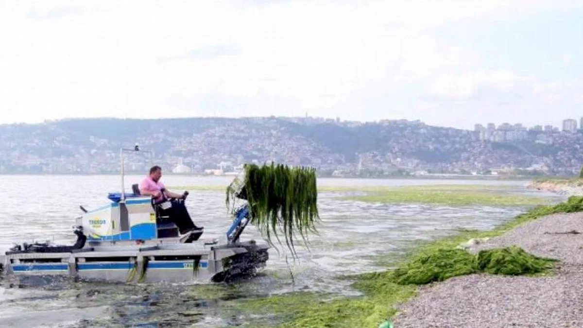 Dere, deniz ve kıyılardan 49 kamyon katı atık