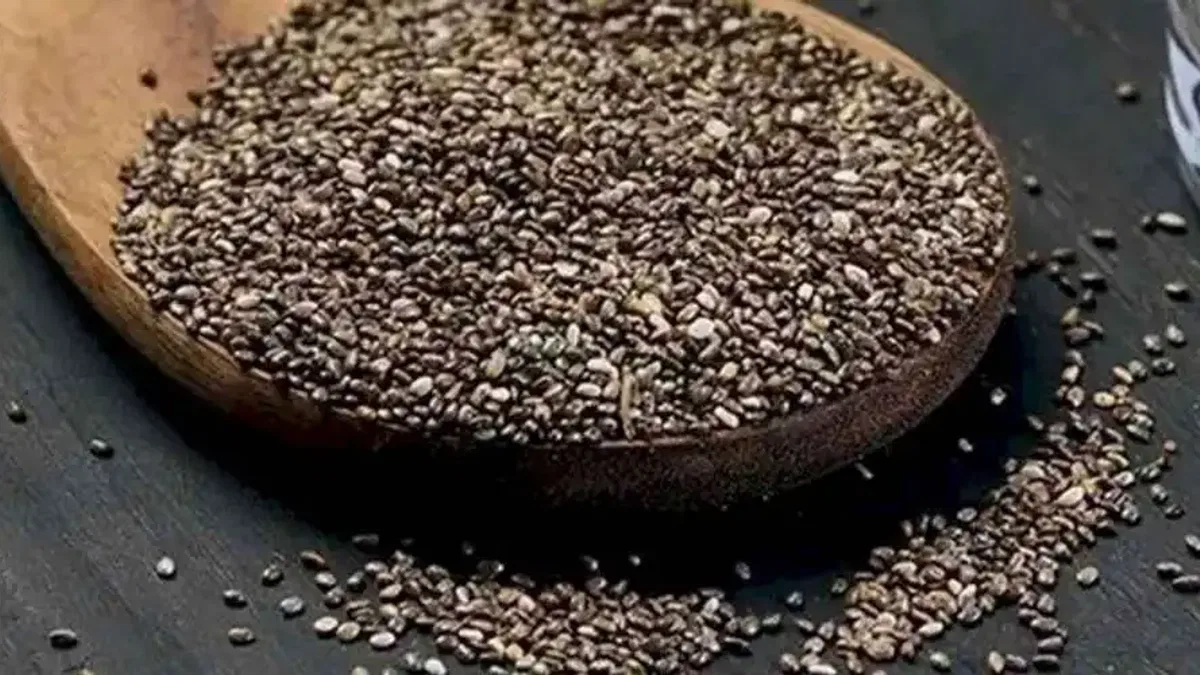 Uzmanından 'chia tohumu' uyarısı! Chia'yı bol sıvıyla tüketin