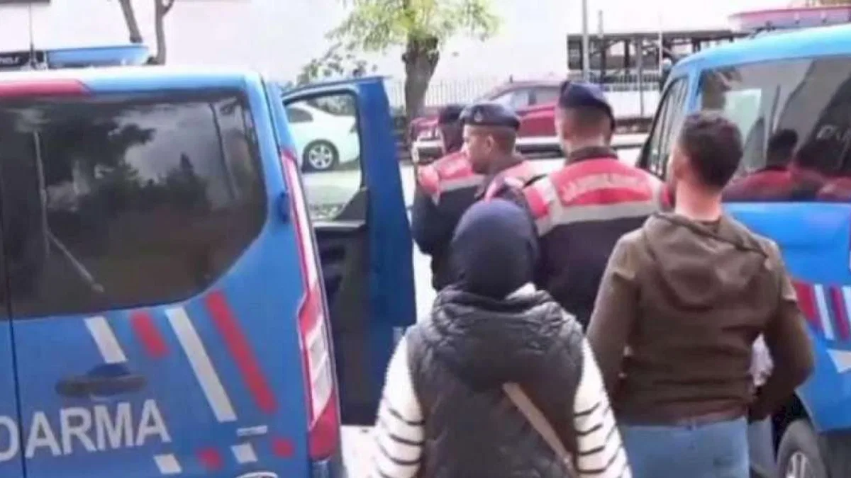 Bilecik'te köpek katliamı: 4 tutuklama