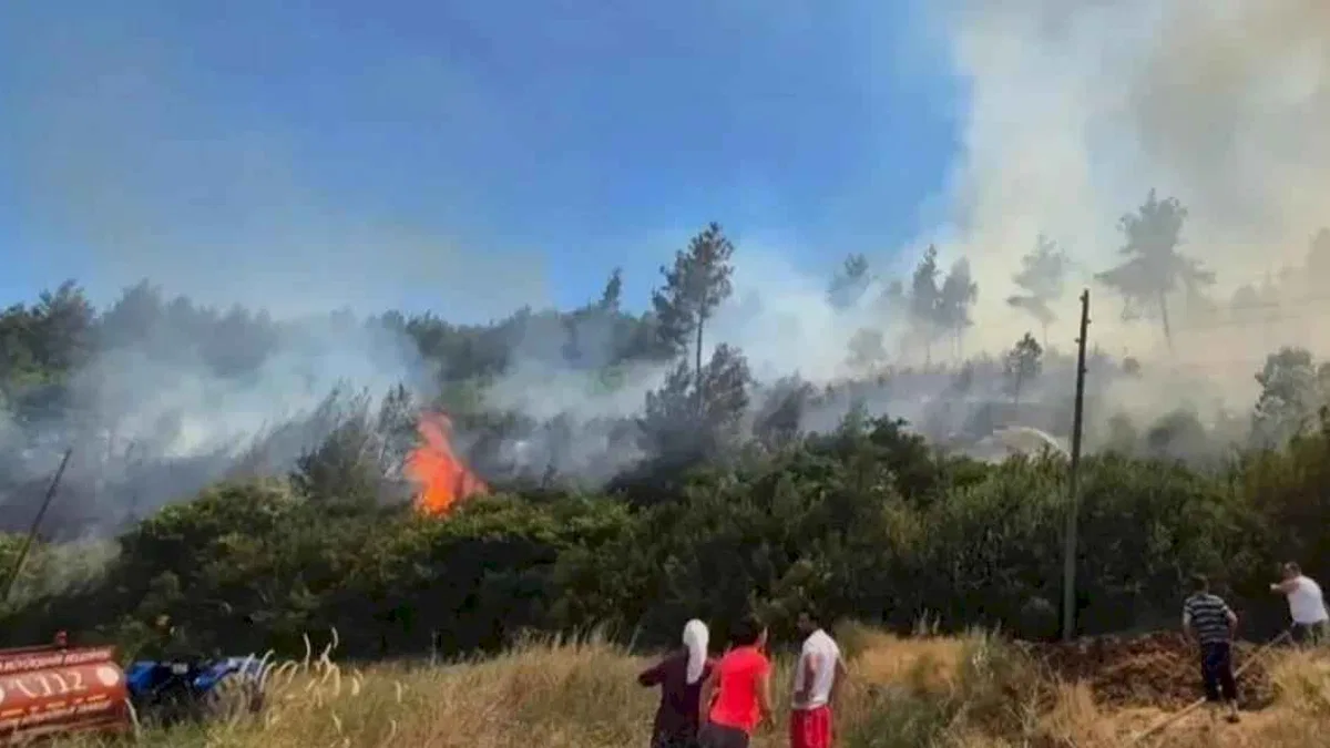 Muğla'nın yangın tankerleri aktif görevde