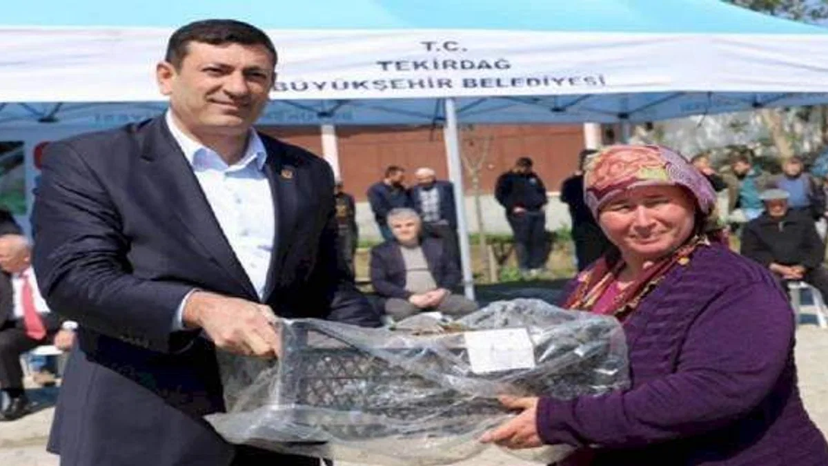 Üreticilere çilek fidesi desteği