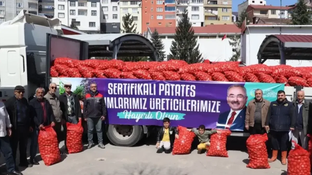 Ordu’da 6 ilçede 45 ton tohumluk patates dağıttı