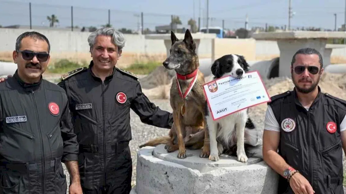 Ares ve Rex, uluslararası sınavda zirvede