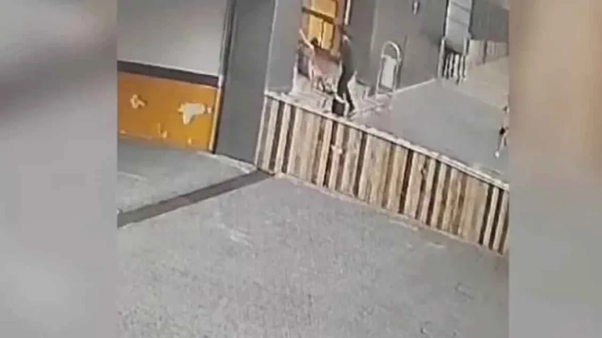 İstanbul Tuzla'daki otoparkta çocuğa yumruklu saldırıya tutuklama!