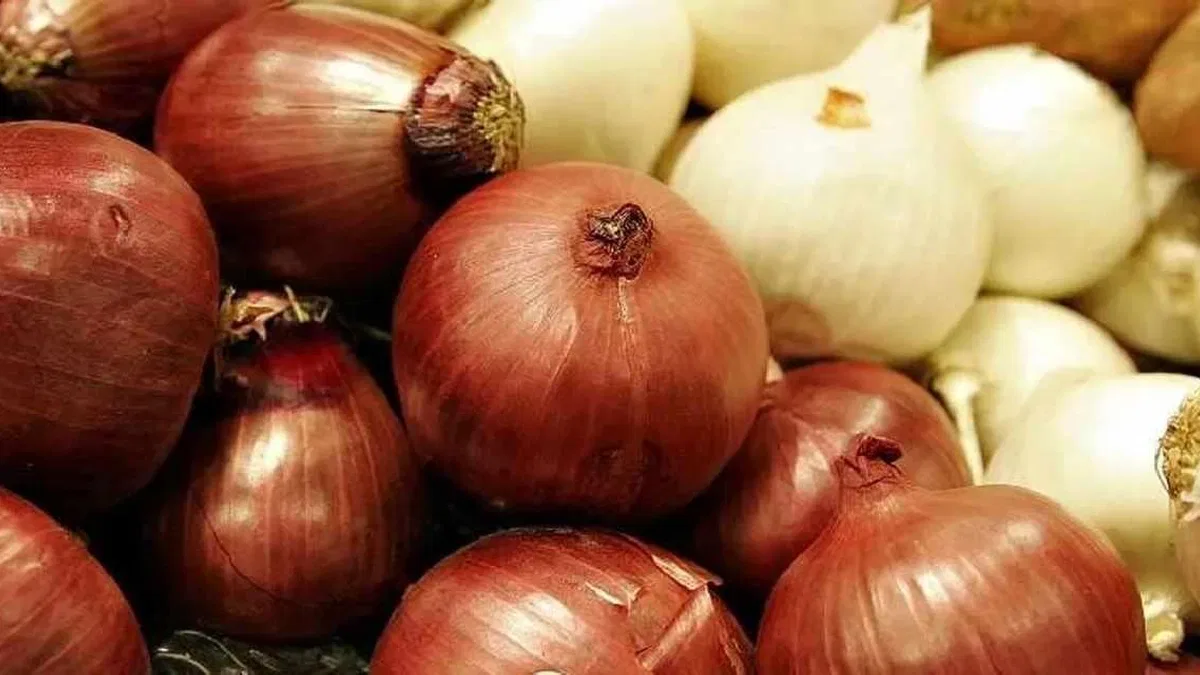 Kuru soğanda gümrük geçici yüzde 5’e indirildi