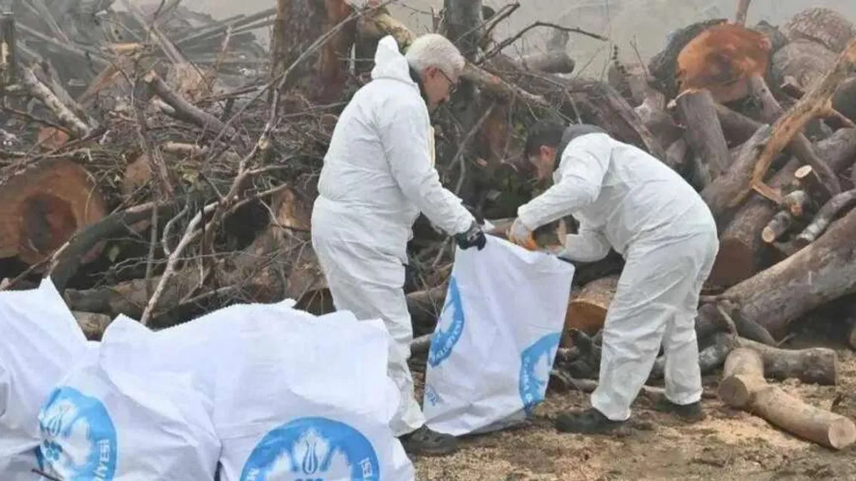 Manisa'da ihtiyaç sahiplerine odun desteği