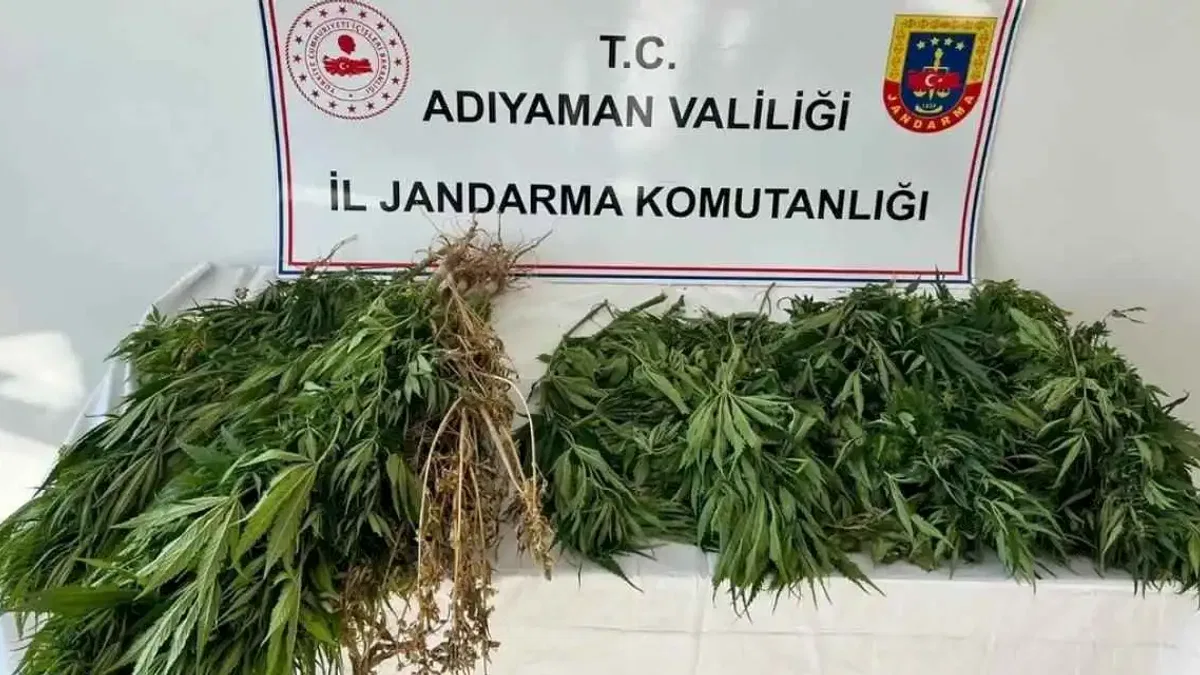 Adıyaman'da kenevire 3 gözaltı