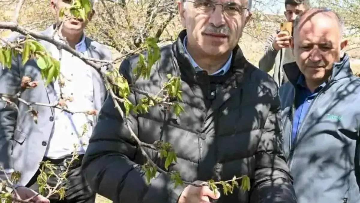 Malatya'da kar ve don mağduriyeti incelemesi