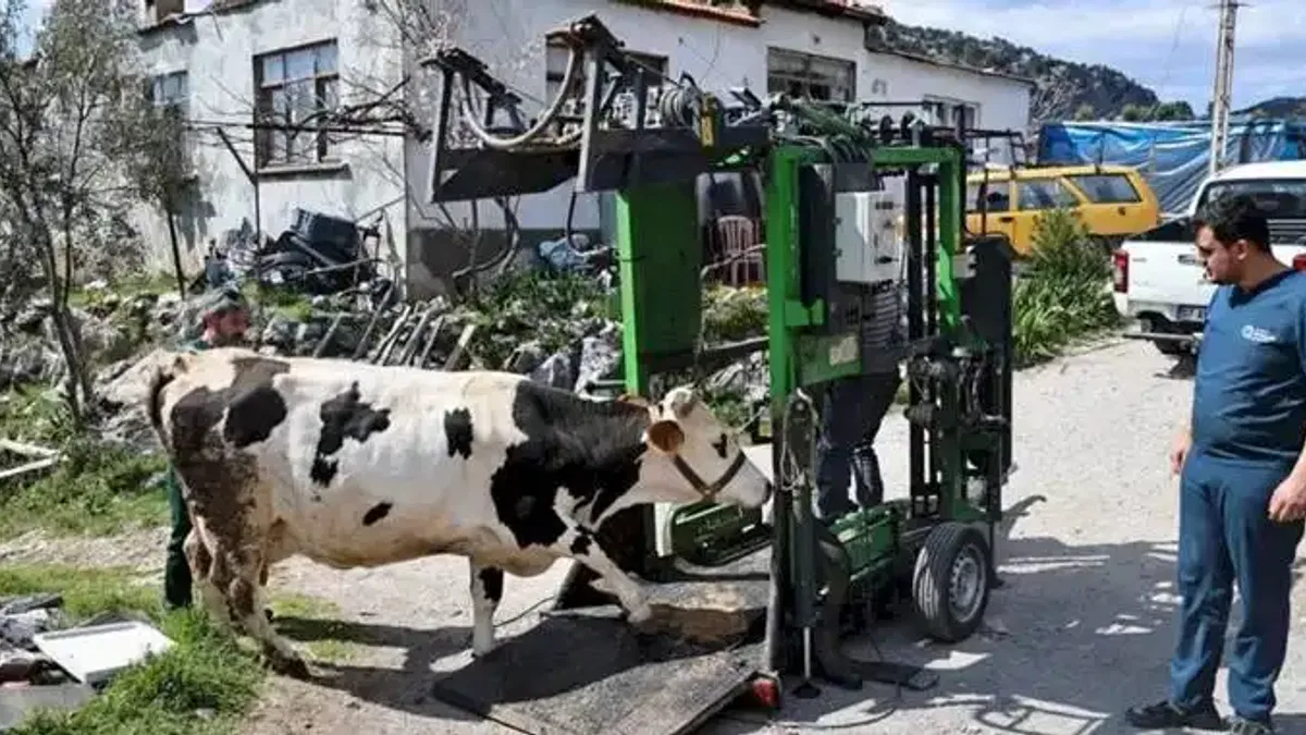 Antalya'da üreticiler yerinde verilen ücretsiz hizmetten memnun