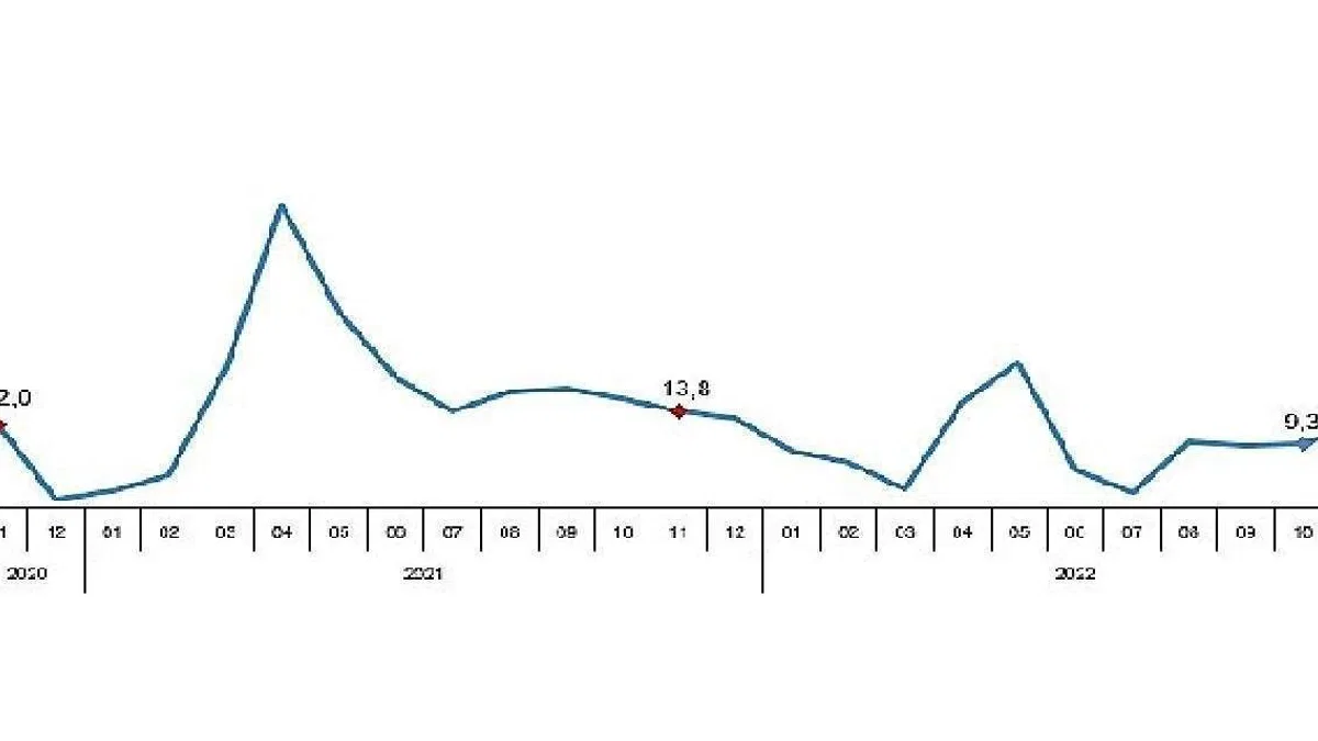 TÜİK Perakende satış hacmi yıllık %12,1 arttı