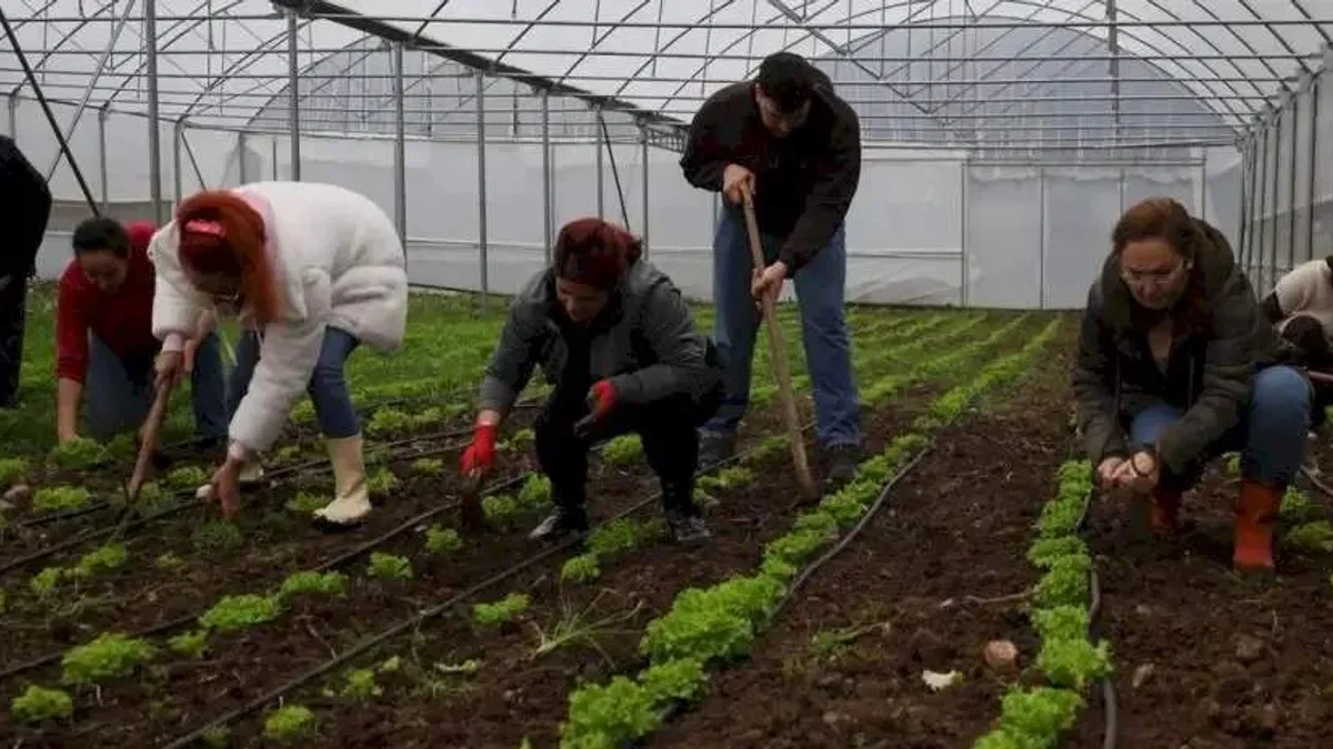 Kocaeli'de kadın ve gençler tarıma kazandırılıyor