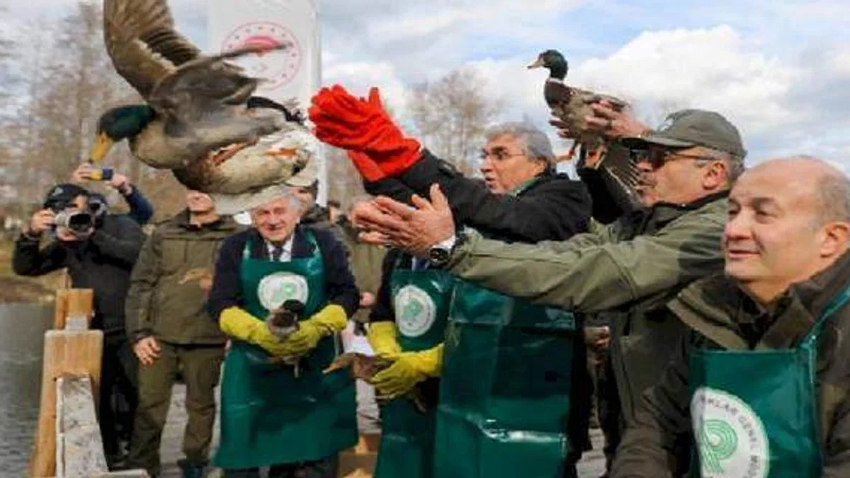 Sakarya'da dünyaya mesaj Acarlar Longozu'ndan verildi