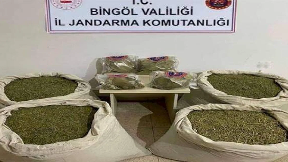 Bingöl’de 145 kilogram esrar ele geçirildi