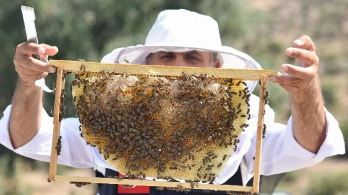 Manisa'dan arıcılara 'kovan' desteği