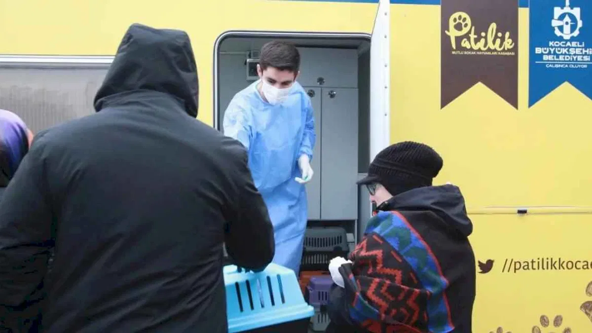 Kocaeli'de 'Kısırlaştırma Karavanı' dönemi