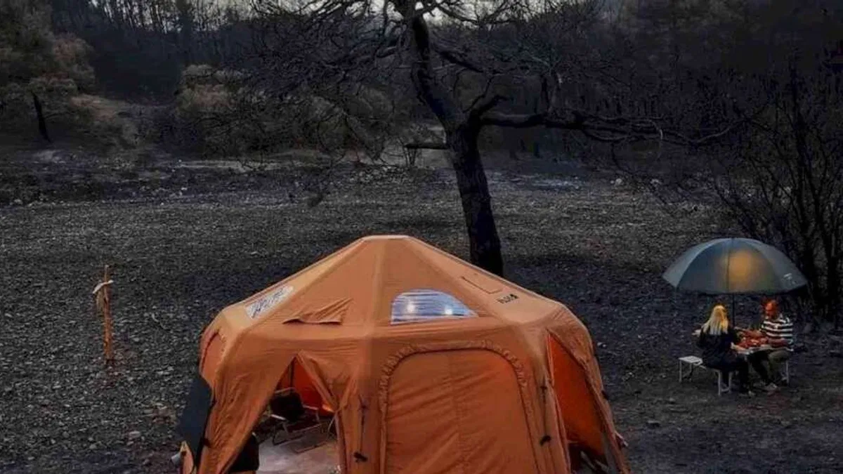 İzmir'de yanan ormanda kamp ile farkındalık