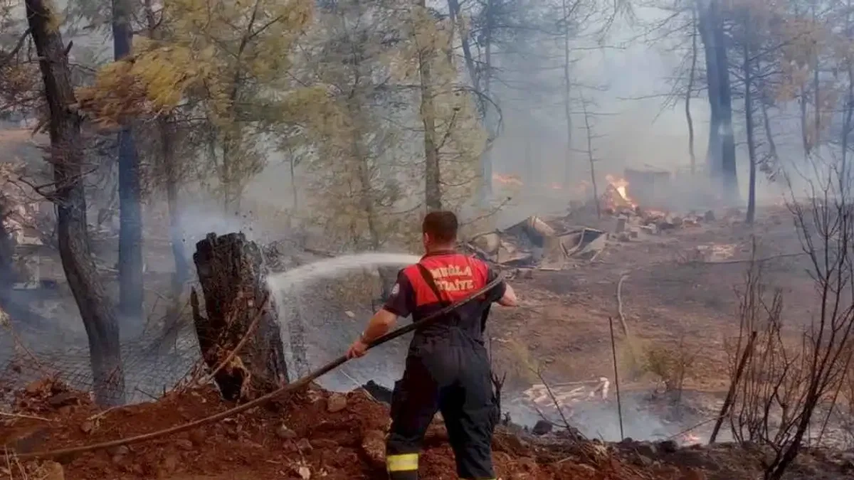 Muğla’da orman yangınlarına koordineli müdahale