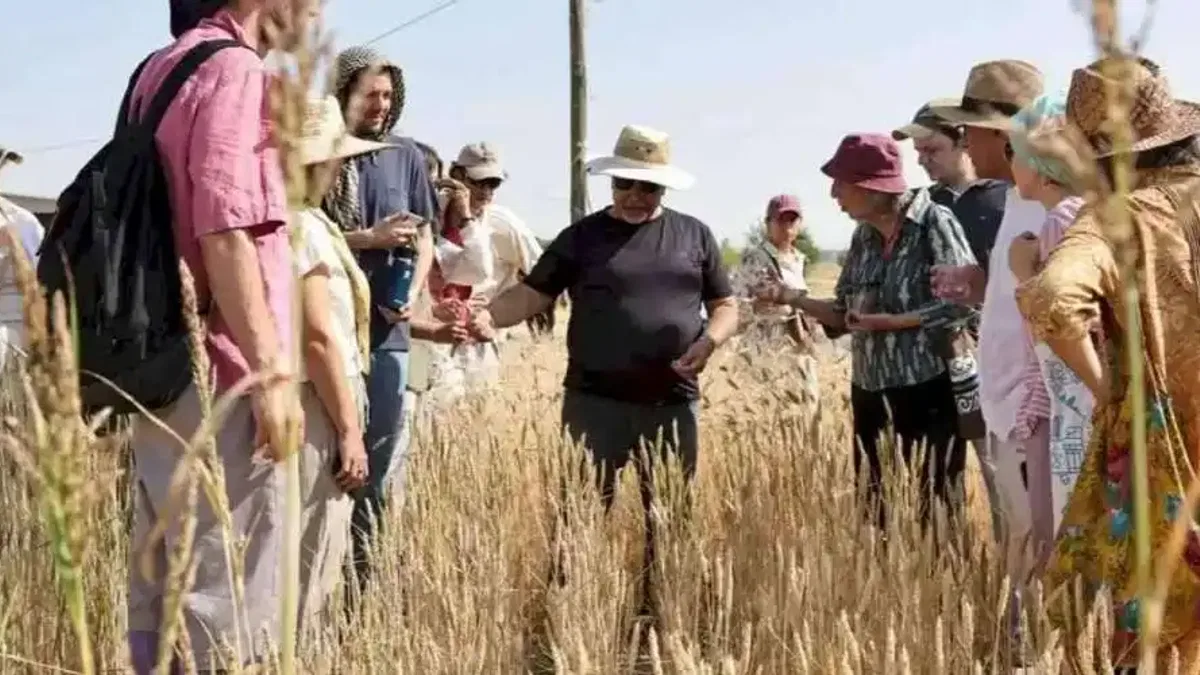 Slow Wheat Şanlıurfa 2025 coşkusu