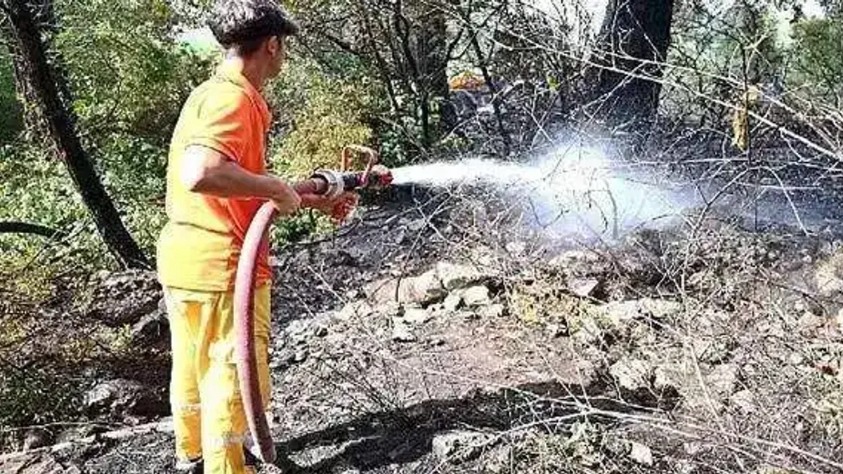 Kemer'de korkutan yangın büyümeden kontrol altına alındı