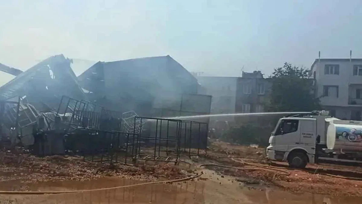 Bursa’daki yangınlar boyut atlıyor