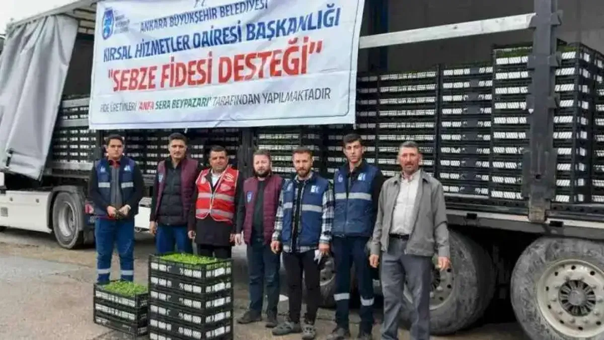 Ankara'da 1 milyonun üzerinde erkenci sebze fidesi dağıtıldı