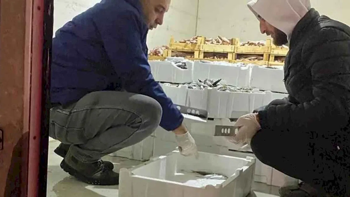 Bursa'da 1,5 ayda 5 ton balığa el konuldu!