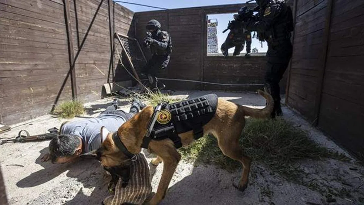 Jandarma köpeğinin 'gözünden' rehine kurtarma operasyonu