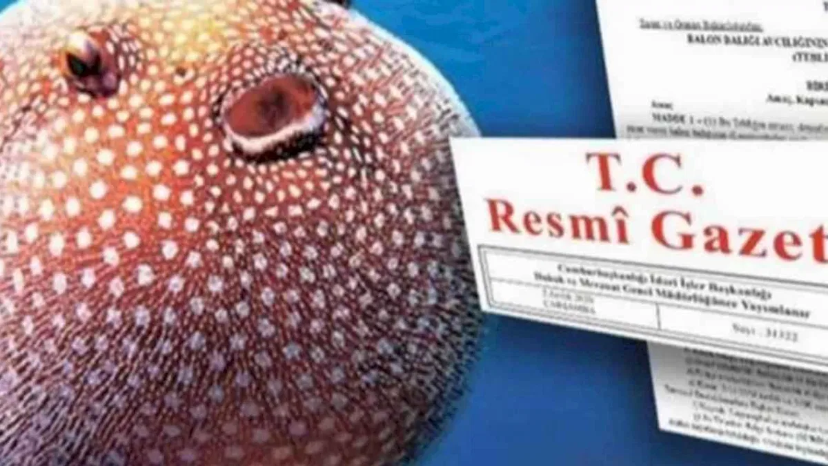 Balon Balığı avcılığı desteği artırıldı