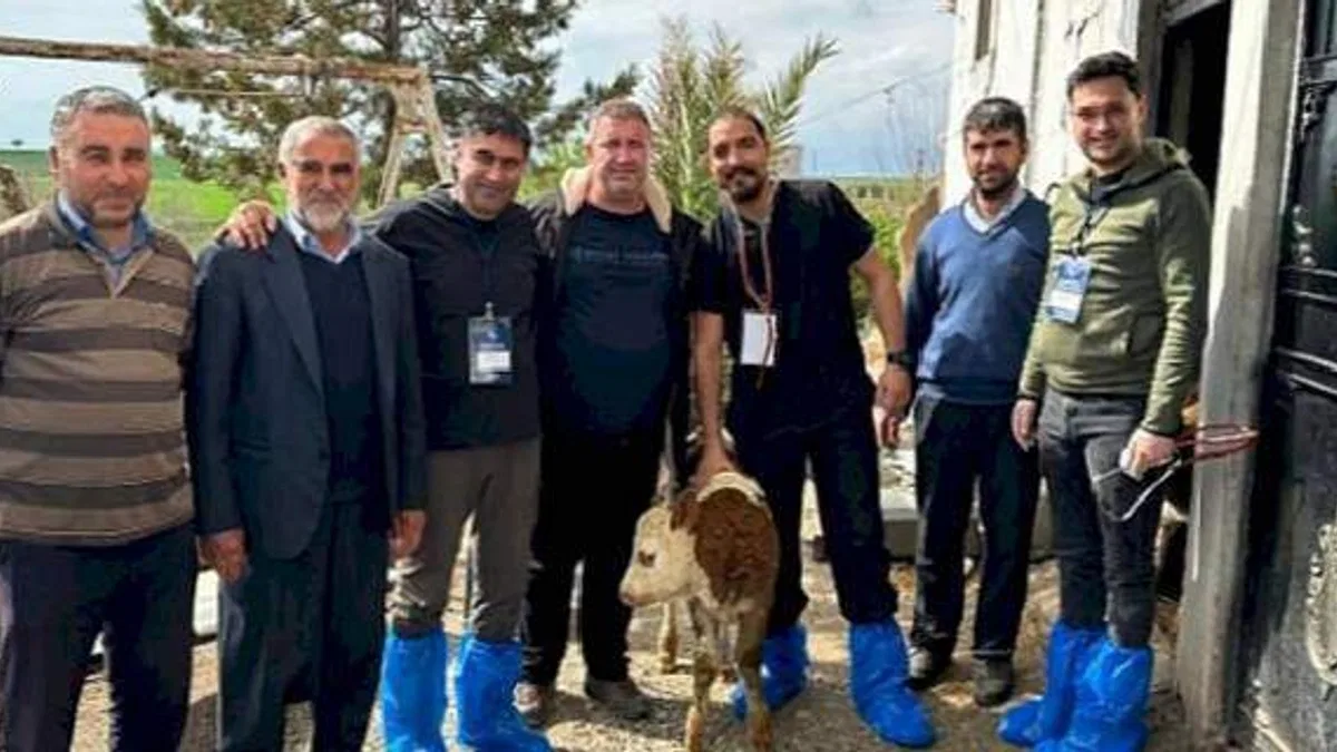 DEÜ'lü Uzmanlardan Deprem Bölgesinde Şap Virüsü Uyarıları