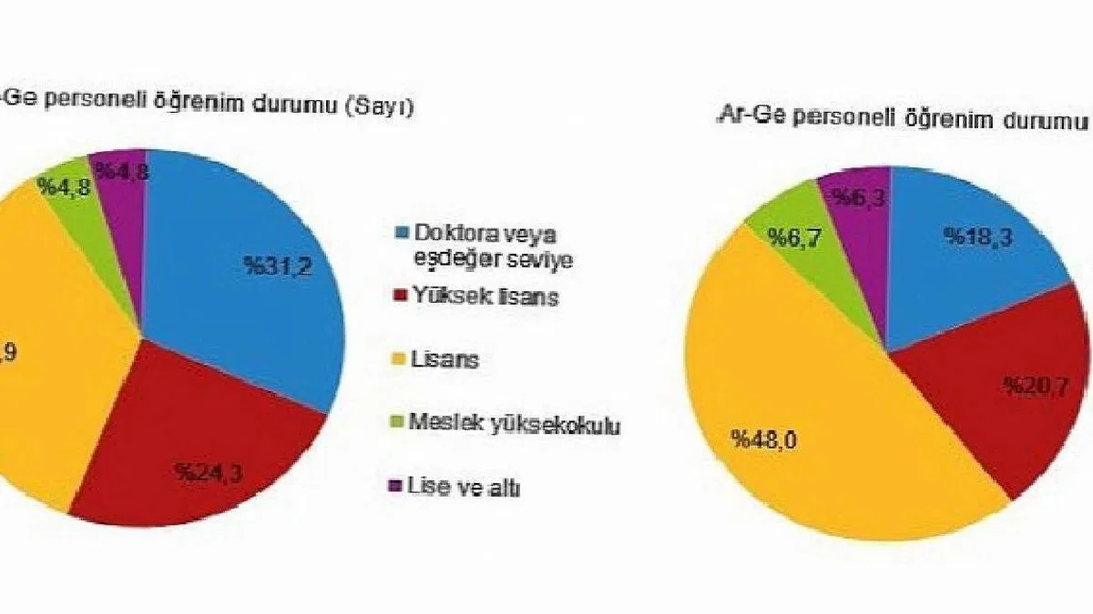 TÜİK: Araştırma-Geliştirme (Ar-Ge) harcaması 2021 yılında 101 milyar 738 milyon TL'ye yükseldi